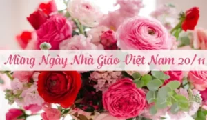 Ngày Nhà Giáo Việt Nam 20/11: Lịch Sử, Ý Nghĩa Và Nguồn Gốc