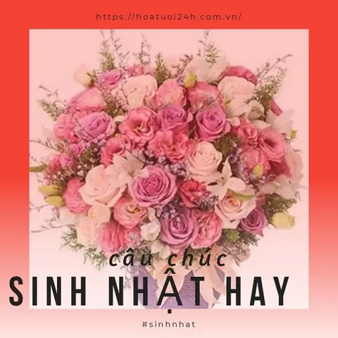 Lời Chúc Sinh Nhật Người Yêu, Vợ