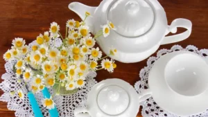 Bộ Cốc Sứ Và Đĩa Lót Hoa Văn Đẹp Mắt