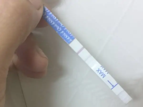 Que Thử Thai 2 Vạch Mờ Có Thai Không? Cách Kiểm Tra Chính Xác ...