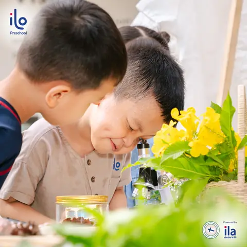 Gợi Ý Tên Bé Trai 2024-2025 Họ Nguyễn