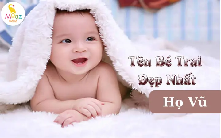 Gợi Ý 10 Tên Hay, Ấn Tượng Cho Bé Trai Họ Vũ
