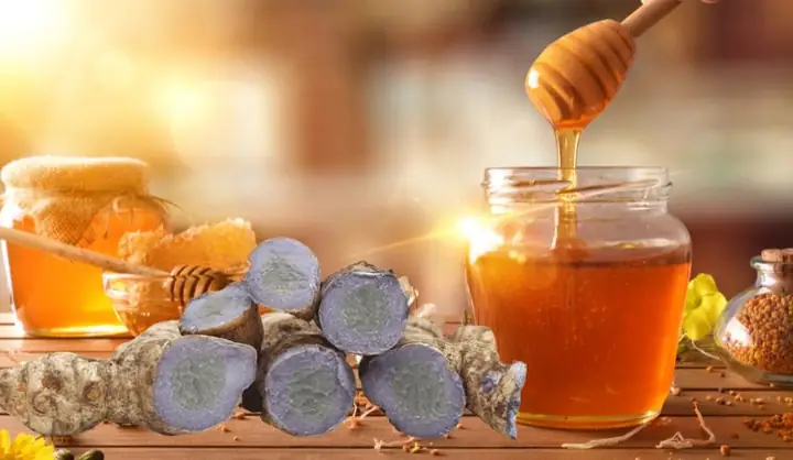 Công Dụng Và Những Lưu Ý Khi Uống Nước Nghệ Đen Mật Ong Tại Nhà