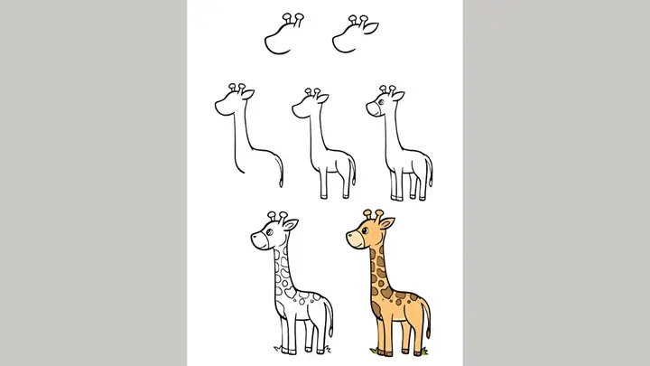 Cách Vẽ Con Hươu Cao Cổ