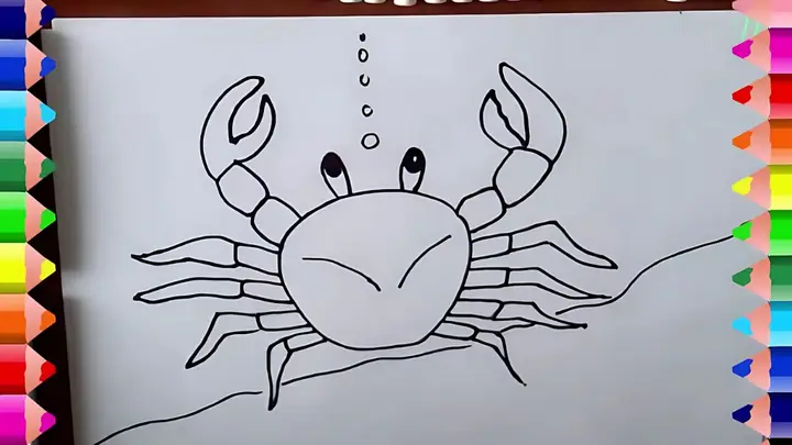 Cách Vẽ Con Cua Biển