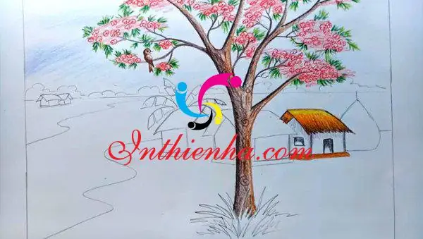 Chuẩn Bị Các Dụng Cụ Cần Vẽ