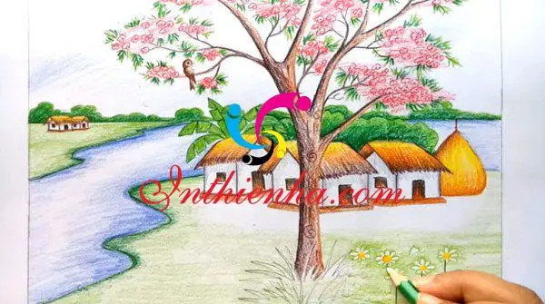 Chuẩn Bị Các Dụng Cụ Cần Vẽ