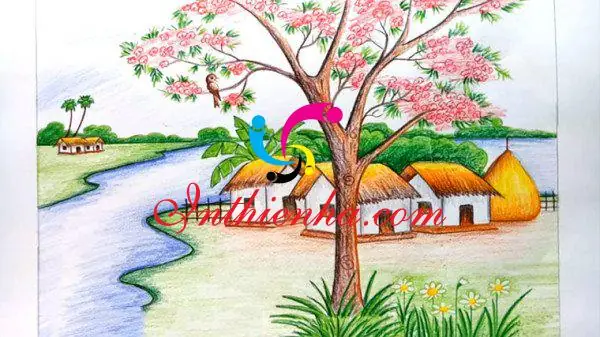 Chuẩn Bị Các Dụng Cụ Cần Vẽ