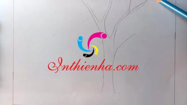 Chuẩn Bị Các Dụng Cụ Cần Vẽ