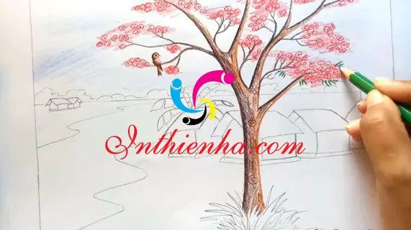 Chuẩn Bị Các Dụng Cụ Cần Vẽ