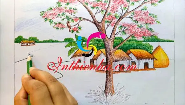 Chuẩn Bị Các Dụng Cụ Cần Vẽ