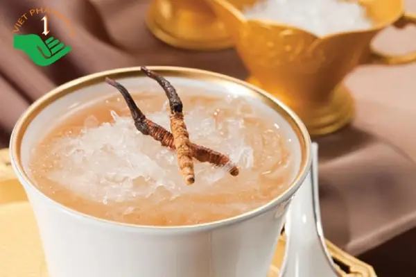 Các Thành Phần Nguyên Liệu Của Yến Sào Đông Trùng Hạ Thảo